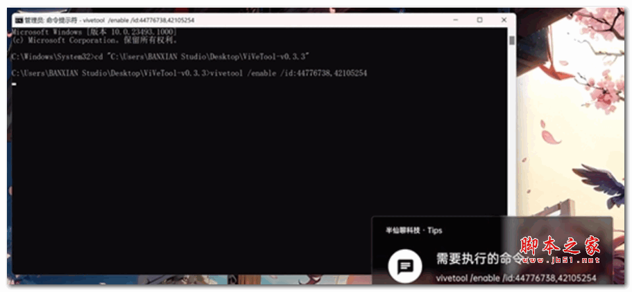 Microsoft Copilot(微软Copilot) V2023.7 最新免费版