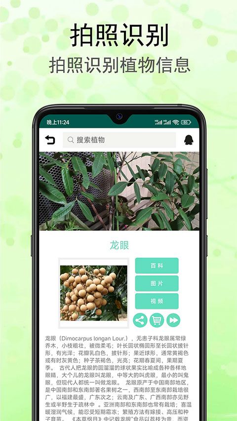 识花草(花草识别工具) v1.3.1 安卓版