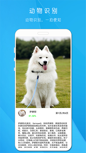 拍照识万物 for Android v1.508 安卓版