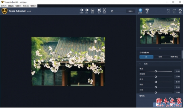 Topaz Adjust AI(HDR渲染软件) v1.0.6 汉化破解版(附破解补丁+教程)