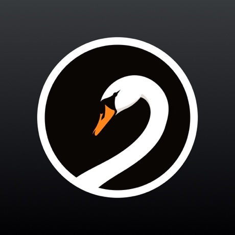 Swan Cam(电影胶片感相机) v1.1.9 苹果手机版