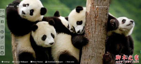 熊猫壁纸高清-新标签页 V1.30.27.31 扩展工具