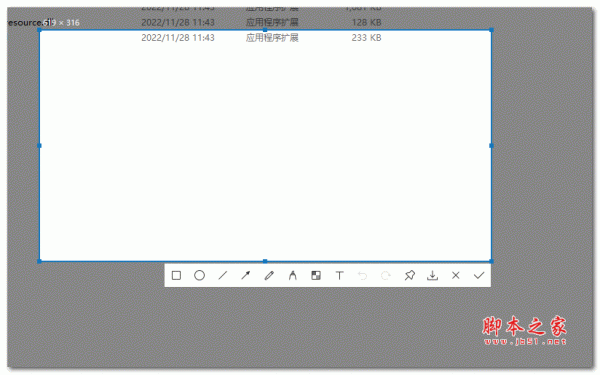 YZM截图 v1.0 绿色免费版