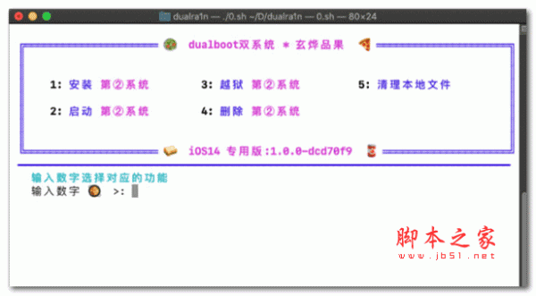 dualra1n(iPhone双系统安装软件) V1.0 最新免费版