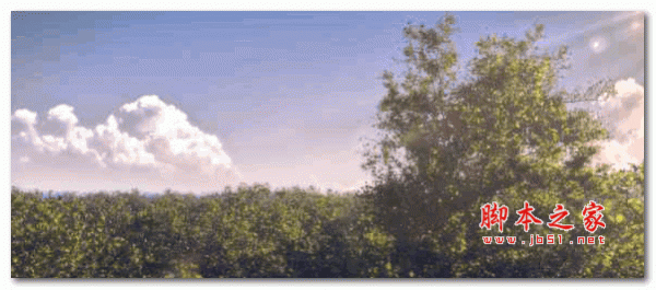 Tree Generator(几何树木生成器预设Blender插件) V2 免费版