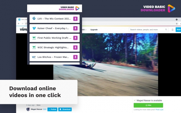 Video Downloader Basic(在线视频) v1.3.2 免费安装版
