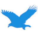 海鹰数据(Extension)-电商大数据分析 v1.1.13 扩展插件