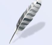 Wing Pro 9 for Mac(Python开发工具) v9.0.2.0 免费版(附安装工具)