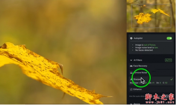 人工智能图片降噪防抖无损放大修饰软件Topaz Photo AI v4.1.0 中文完整正式版 64位
