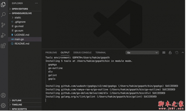 VS Code Go 扩展 v0.42.0 官方免费版