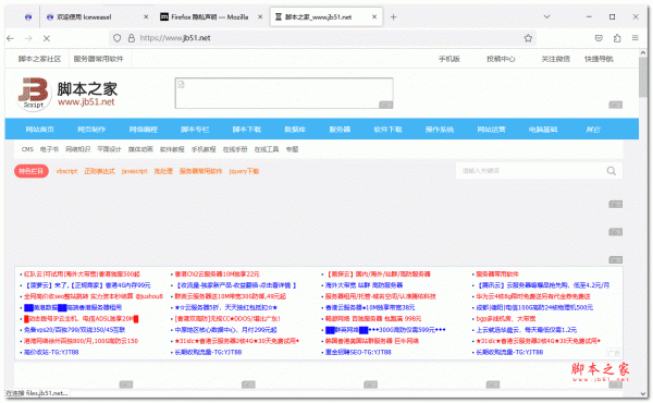 冰鼬浏览器 Iceweasel v146.0 x64 绿色便携免费版