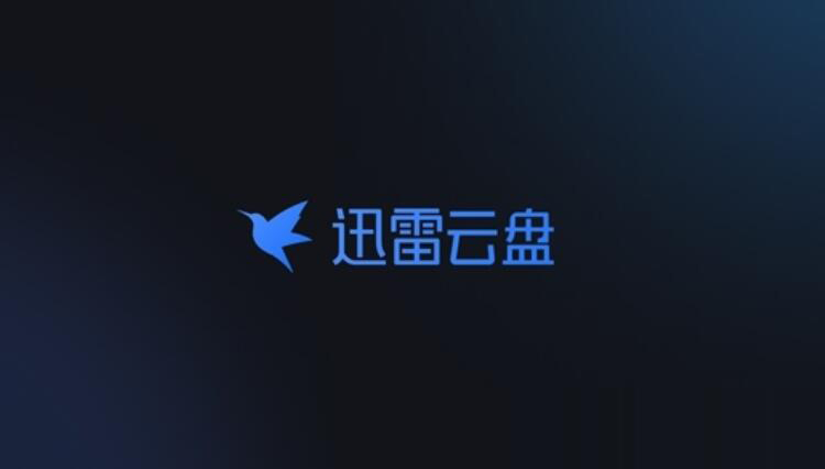 迅雷云盘 TV版 v3.0.10.3110 安卓版