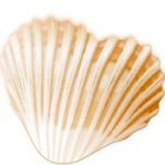 GoodTimes for Mac(相册制作软件) v2.1.2 直装免费激活版 inter/M1/M2/Ventura通用