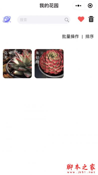 多肉圈(多肉种植分享)for Android V4.0 安卓手机版