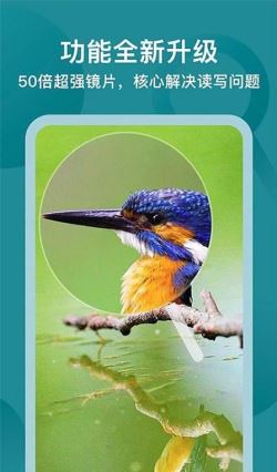 一点放大镜 for Android v1.0.3 安卓手机版