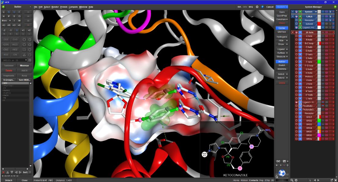 Chemical Computing Group MOE v2022.02 激活破解版(附教程) 64位