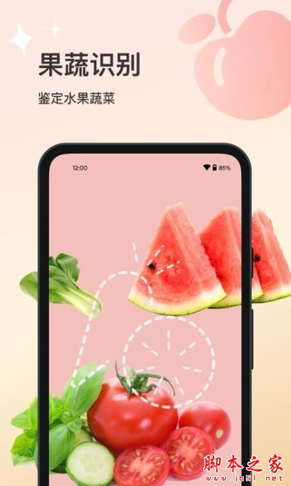 花卉识别大全 for Android V1.0.0 安卓手机版