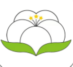 纱纤亿 for android v1.4.3 安卓手机版