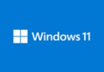 Win11 22H2(Windows11 2022) 22621.3737 RTM 官方中文正式版