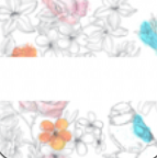 点点云步 for android v1.0.1 安卓手机版