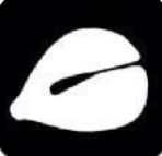 智慧木鱼 for android v1.8 安卓手机版