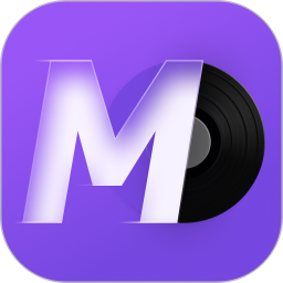 谜底黑胶(音乐播放器软件) v2.6.3 安卓版