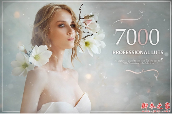 Avanquest 7000+ Professional LUTs 7000+个专业LUT文件 免费版