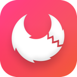 Apifox(Api接口调试工具) v2.3.22 中文免费绿色版