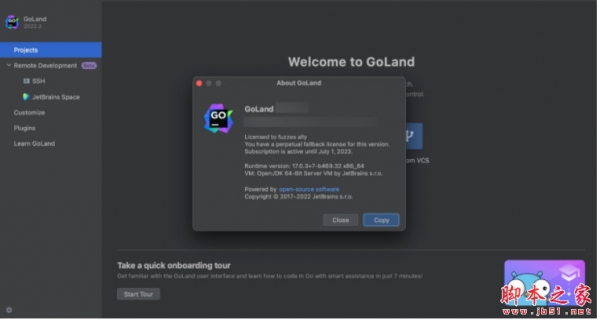 Go语言编辑工具JetBrains GoLand v2026.3.1.1 中文免费正式版(附方法)