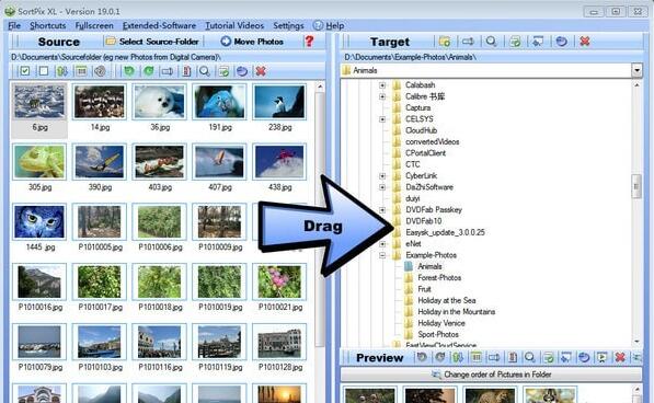 SortPix XL(图像管理工具) v22.0.0 免费安装版