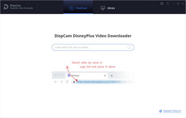 DispCam(视频软件) v1.0.3 免费安装版