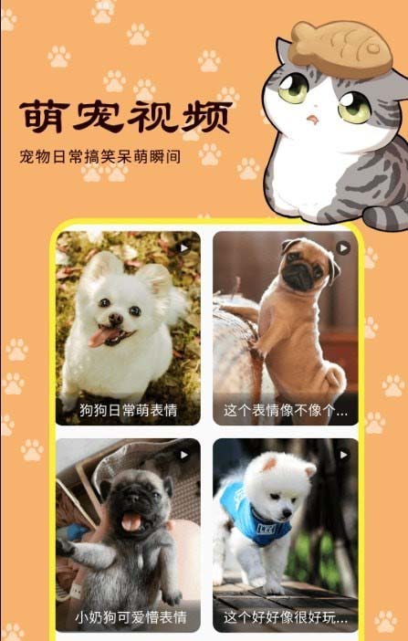 宠本本 for android v1.0.1 安卓手机版