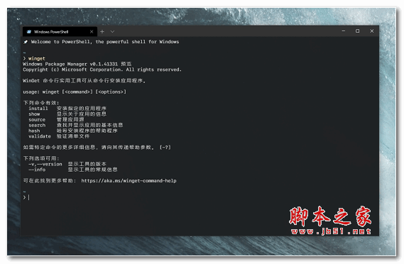 Windows Package Manager软件包管理器 v1.3.2091 官方版