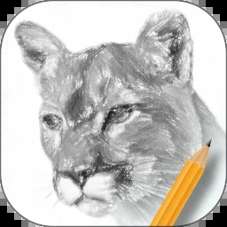 素描绘画入门教程 for Android V2.1.1 安卓手机版