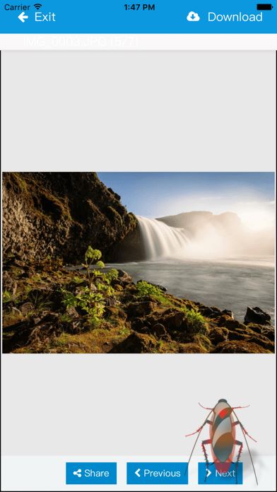 瑞安云盘 for android v4.0.0 安卓手机版