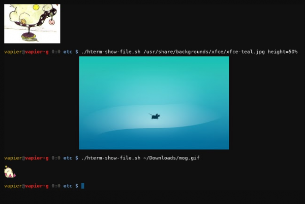 安全外壳 (SSH) Chrome扩展插件 v2026.3.13 官方安装版