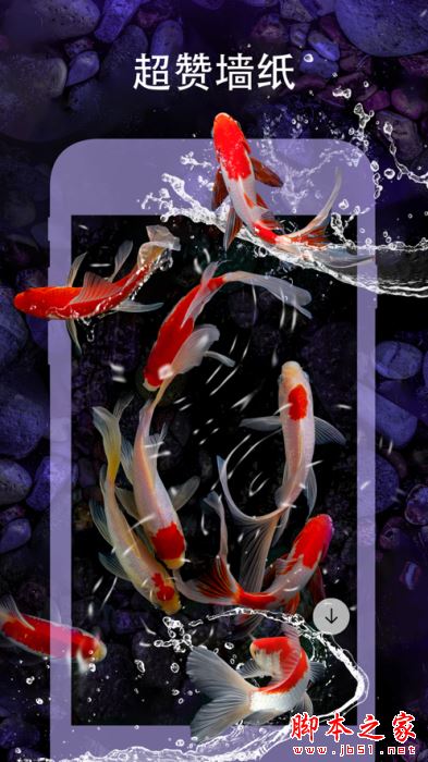 Livepic爱动态壁纸4K(超清壁纸)for iPhone V2.22 苹果手机版