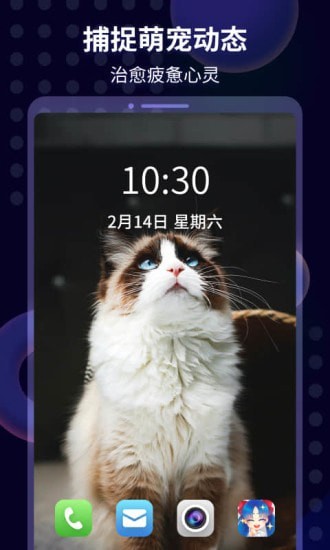 壁纸酱 for Android v1.1.0 安卓手机版