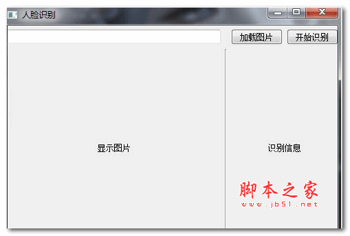 人脸识别软件 绿色版