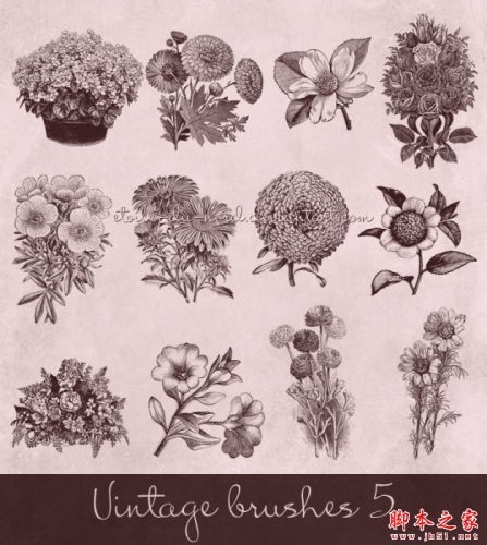 PS素描花朵笔刷 免费版