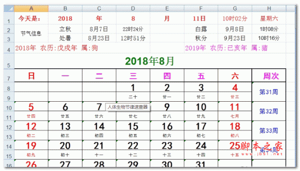 人体生物节律速查器 绿色版