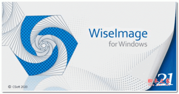 2D独立、光栅到矢量转换软件WiseImage Pro 21 v21.0.3615.1970 破解版(附安装教程)