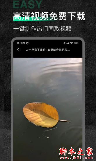 今日素材 for Android V1.0.3 安卓手机版