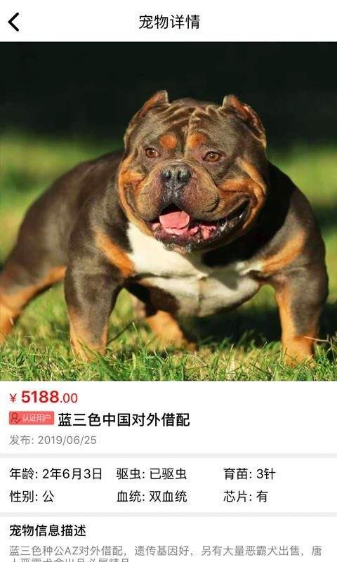 猫行狗市app for Android V4.0 安卓手机版