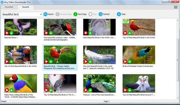 视频工具Any Video Downloader Pro v10.1.2 安装免费版(附教程)