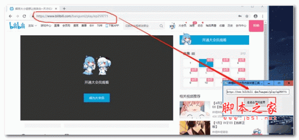 哔哩哔哩会员内容试看工具 v1.0 绿色版