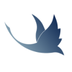 雁回(办公系统) for Android v1.0 安卓版