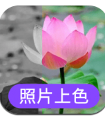 照片上色 for Android v21.12.02 安卓手机版