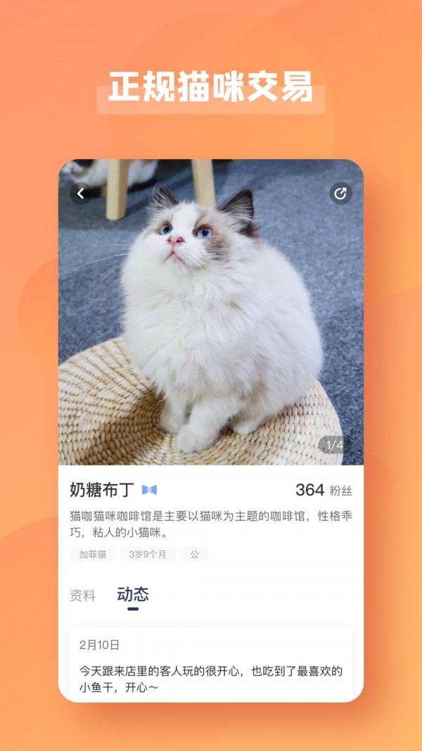 宠酱(养猫必备) for Android v3.5.8 安卓版