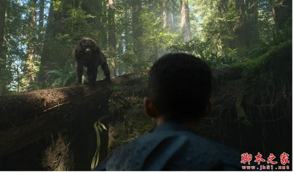 Maya毛发羽毛插件PeregrineLabs Yeti v5.2.7 for Maya 2026-2026 官方最新版